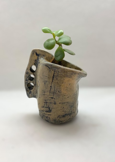 Pasta Chamiza. Jarrito pequeño con un poco de cobalto. Con planta