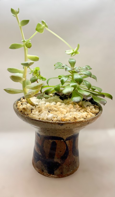 Vasija pequeña torneada. Cuello muy ancho, inferior estrecho. Dibujos azules. Con planta