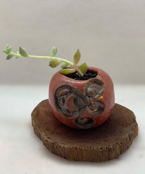 Mini cuenco rojo con base madera y planta
