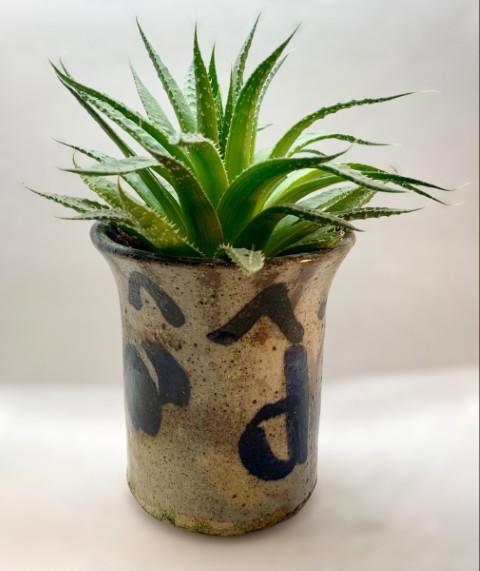 Vasija cuello ligeramente ancho gris con dibujos colores. Con planta