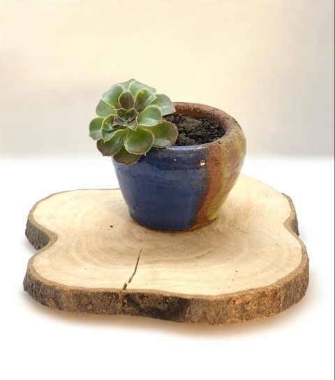 Pasta Pomaire. Mini cuenco azul, verde y pasta expuesta. Con planta