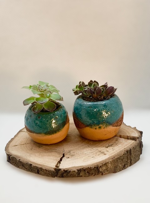 Dos mini cuenquitos arriba turquesa, pasta expuesta y amarillo. Sobre madera, con planta