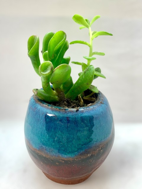 Pasta pomaire. Exterior turquesa hacía rojo. Interior pasta