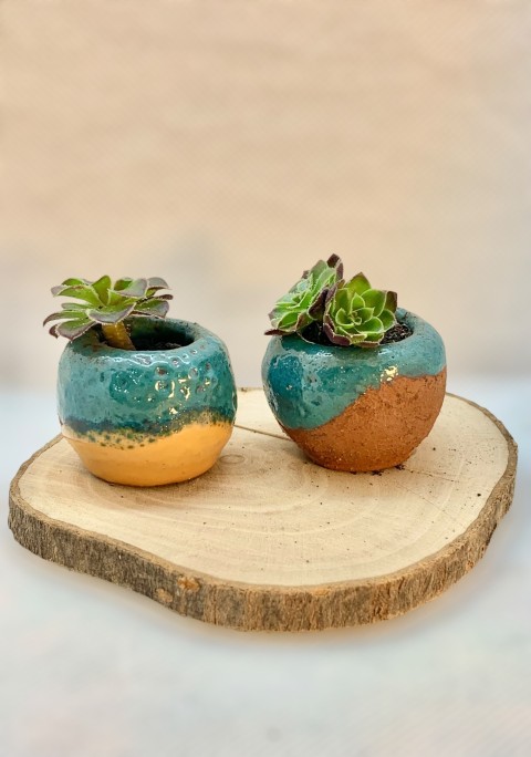 Dos mini cuenquitos arriba turquesa, pasta expuesta y amarillo. Sobre madera, con planta