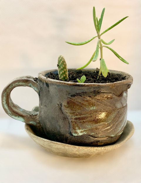 Macetero taza con plato. Verde oscuro y beige, con hojas en exterior. Con planta