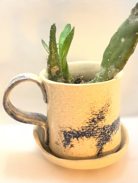 Macetero taza con plato. Blanca con textura tela cobalto y manganeso. Con planta 