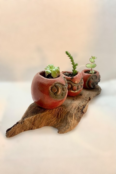 Tres mini cuencos rojos con esgrafiado óxido oscuro. Sobre madera. Con planta