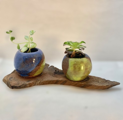 Dos mini cuencos pasta Pomaire azules con verde. Sobre mandera. Con planta