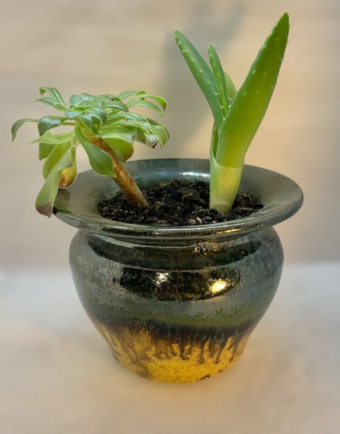 Vasija pequeña cuello hacia afuera. Verde brillante, chorreado hacia amarillo. Con planta