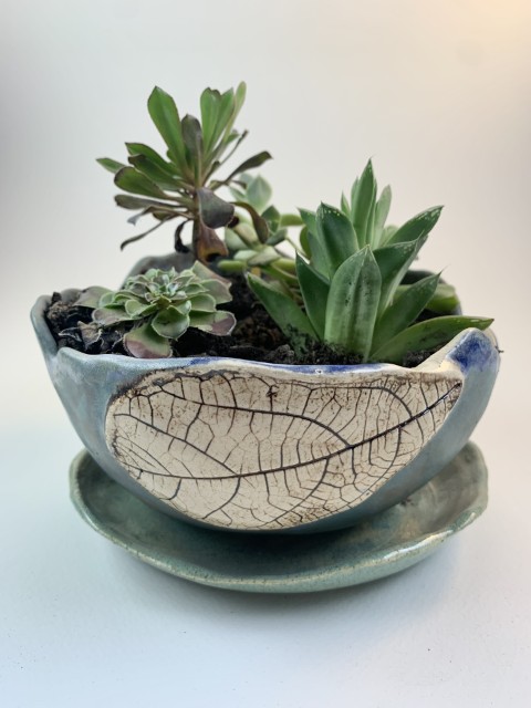 Macetero color piedra, borde irregular, impresión hoja blanca y café. Con plato y planta