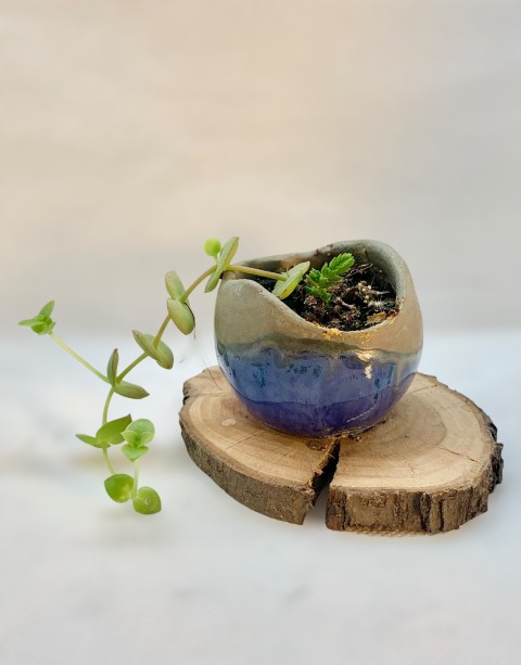 Cuenco azul piedra y azul cobalto, flux oscuro. Borde irregular. Sobre madera. Con planta