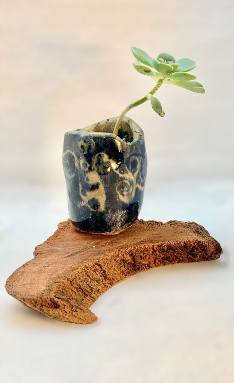 Pasta Chamiza. Cuenquito alargado azul cobalto con esgrafiado. Con madera. Con planta