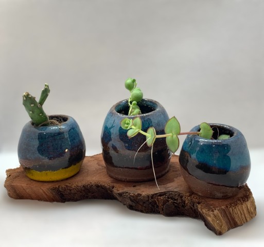 Pasta Pomaire. Tres cuenquitos turquesa y rojo. Con madera y plantas