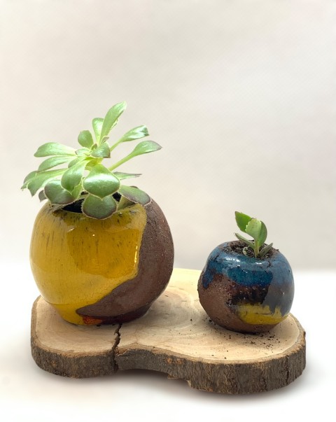 Pasta Pomaire. Dos cuenquitos, uno turquesa y el otro amarillo y rojo. Madera y planta