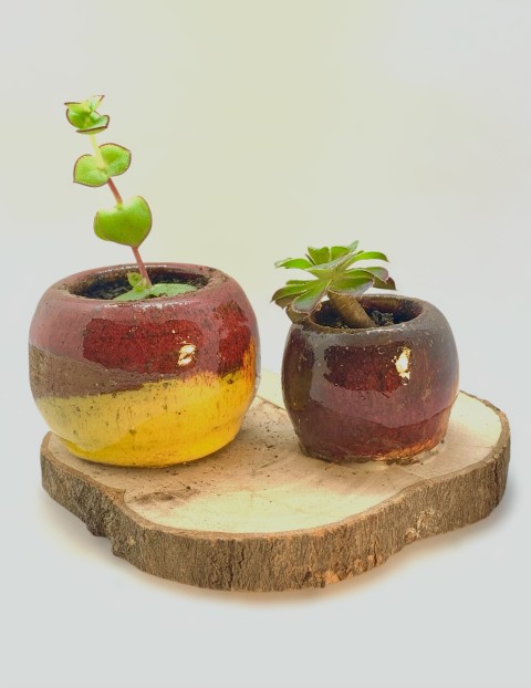 Pasta Pomaire. Dos cuenquitos. Rojo y amarillo cadmio, pasta expuesta. Madera y planta