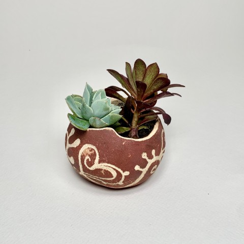 Macetero óxido de fierro opaco, bajorelieve blanco. Suculentas
