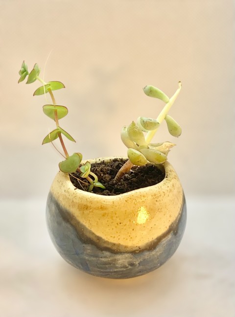 Bandeja hoja con fierro y pasta café sin nada. Con pequeña grieta